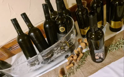 Degustacijski dogodek – Puklavec family Wines