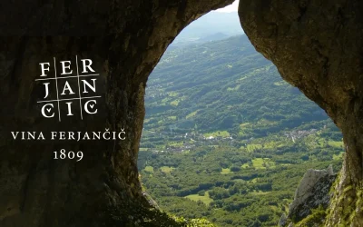 Degustacija vin Ferjančič