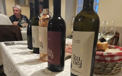 Vino in čokolada Kunej